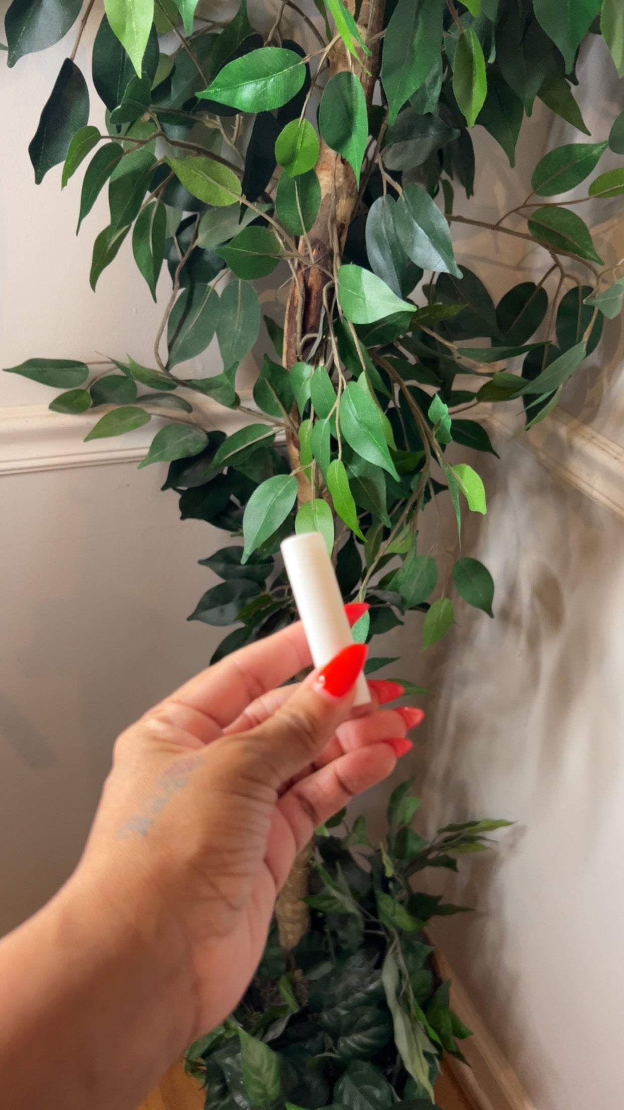 Natural Shea Butter Lip Balm